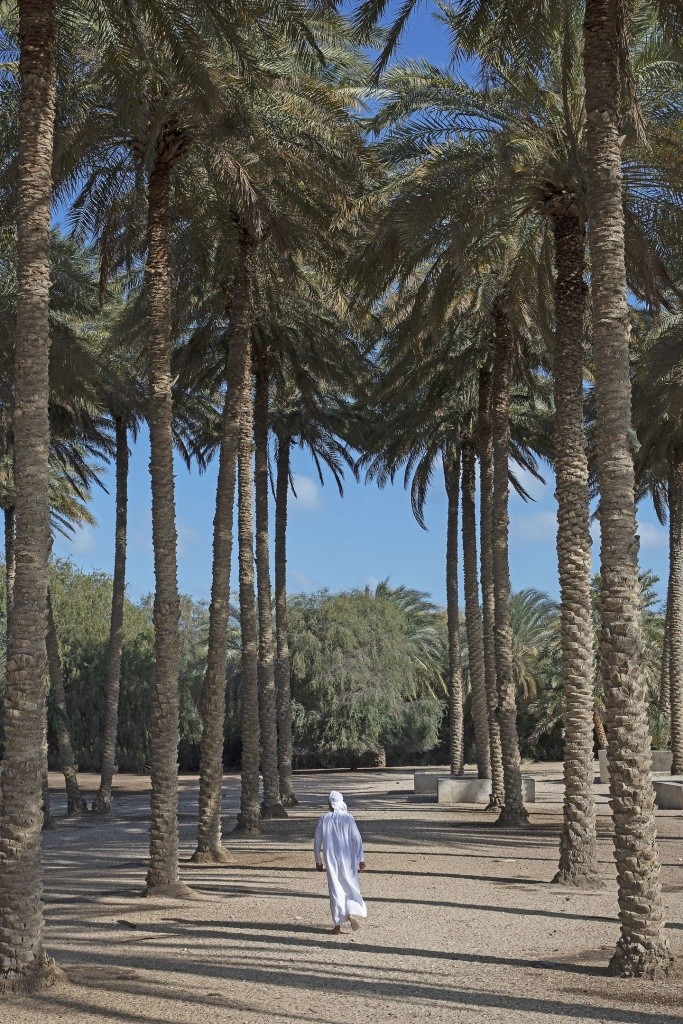Anantara Desert Islands (Sir Bani Yas Island)