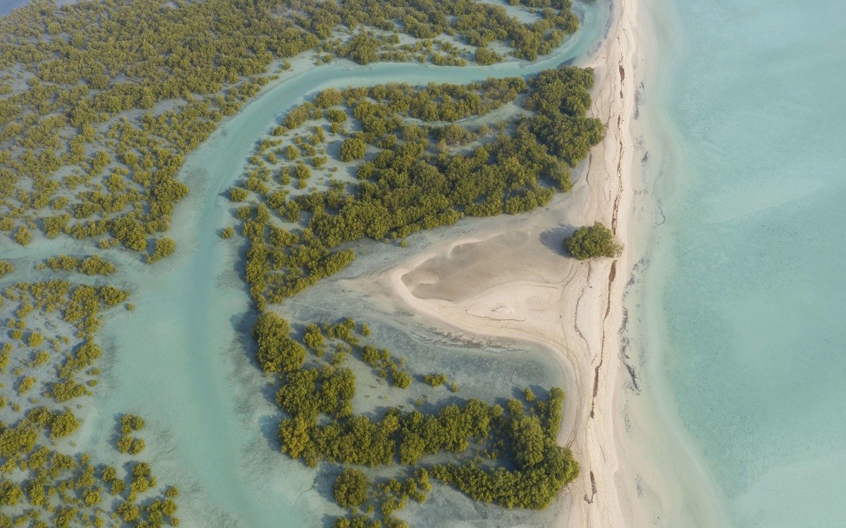 Anantara Desert Islands (Sir Bani Yas Island)