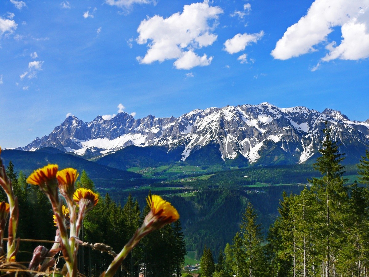 Aqi Hotel Schladming