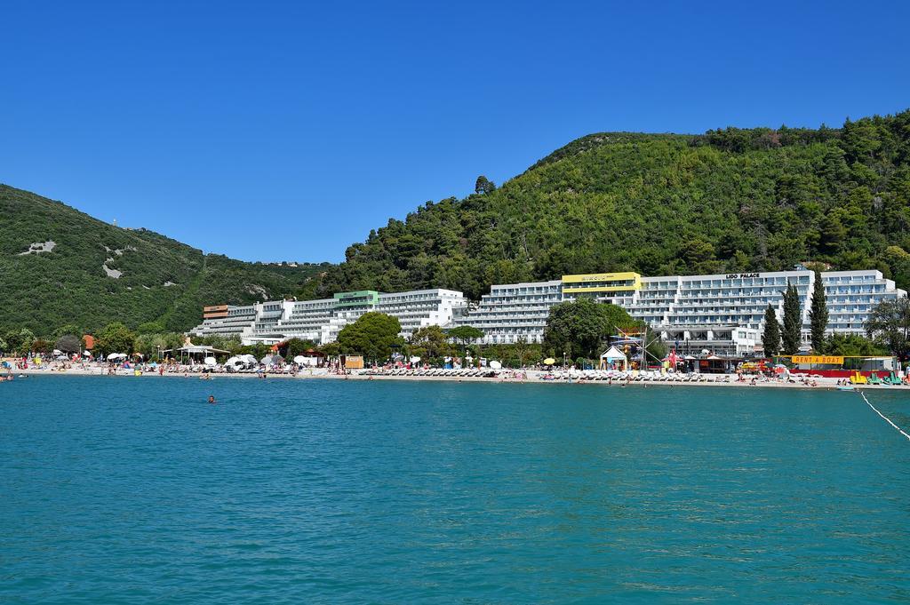 Hotel Mimosa 2027