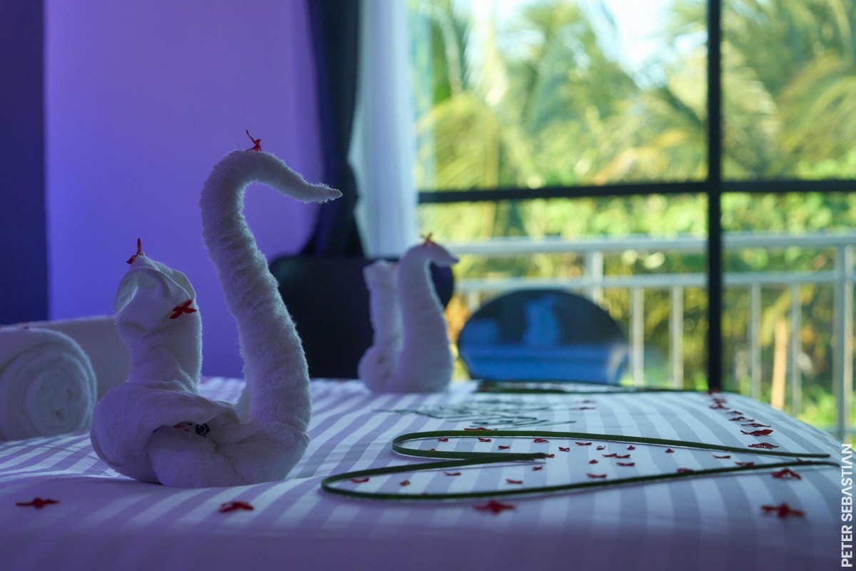 Canary Hotel & Spa