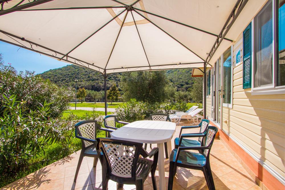 Kemp Oliva 2027