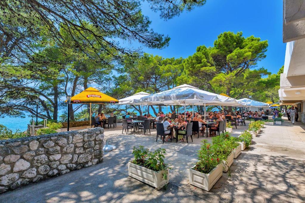 Resort Alemaris 2027