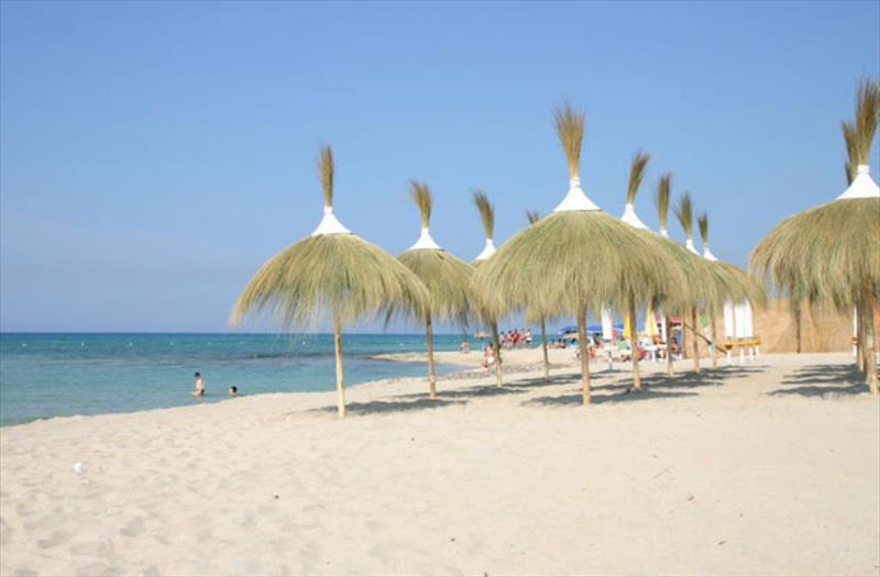 Tenuta Del Barco