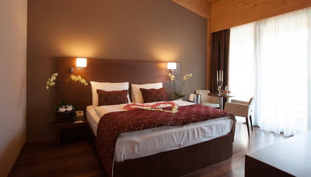 Bohinj Eco hotel (se skipasem)