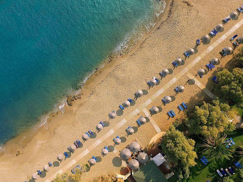 Phaea Cretan Malia