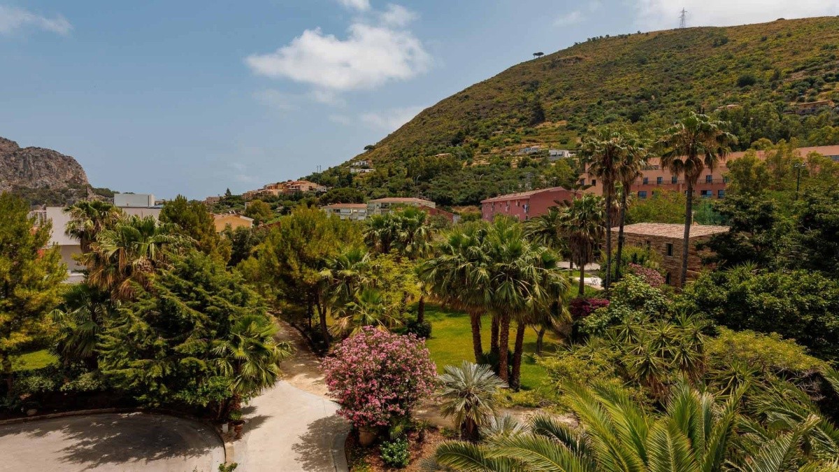 Alberi Del Paradiso