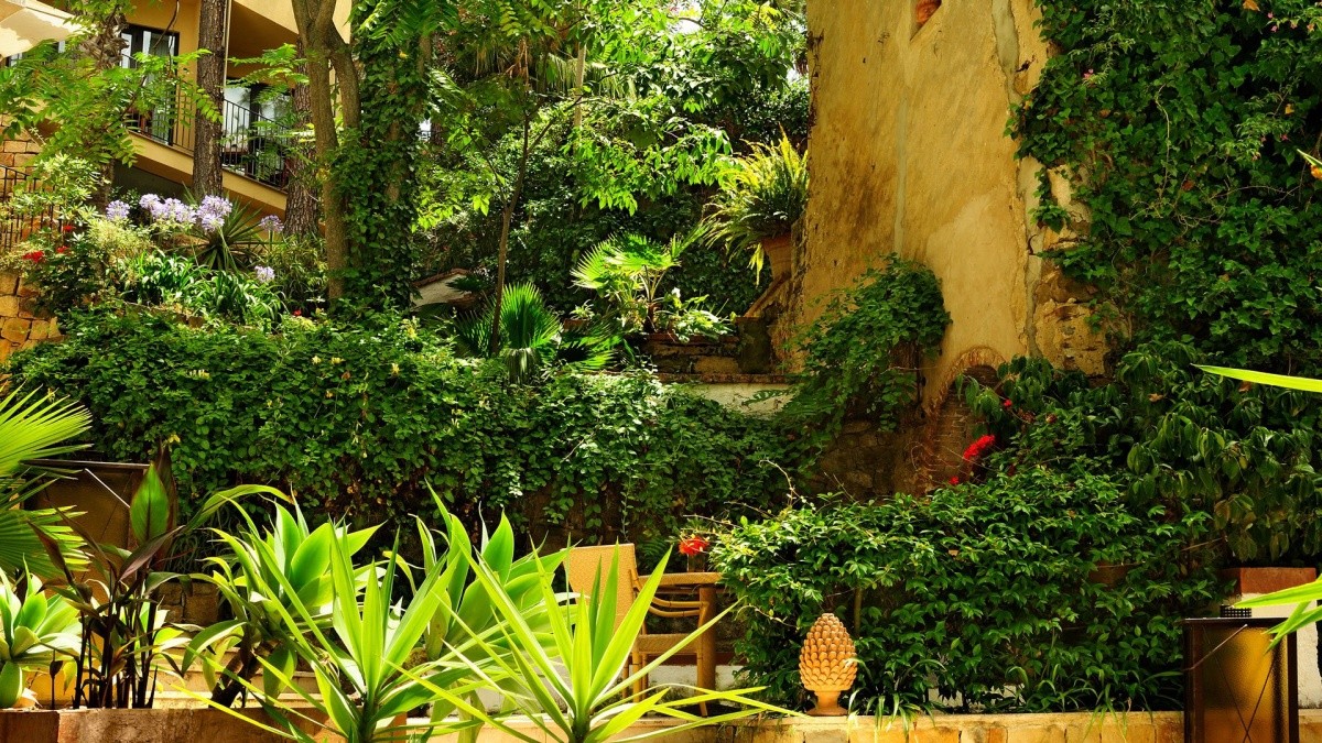 Alberi Del Paradiso