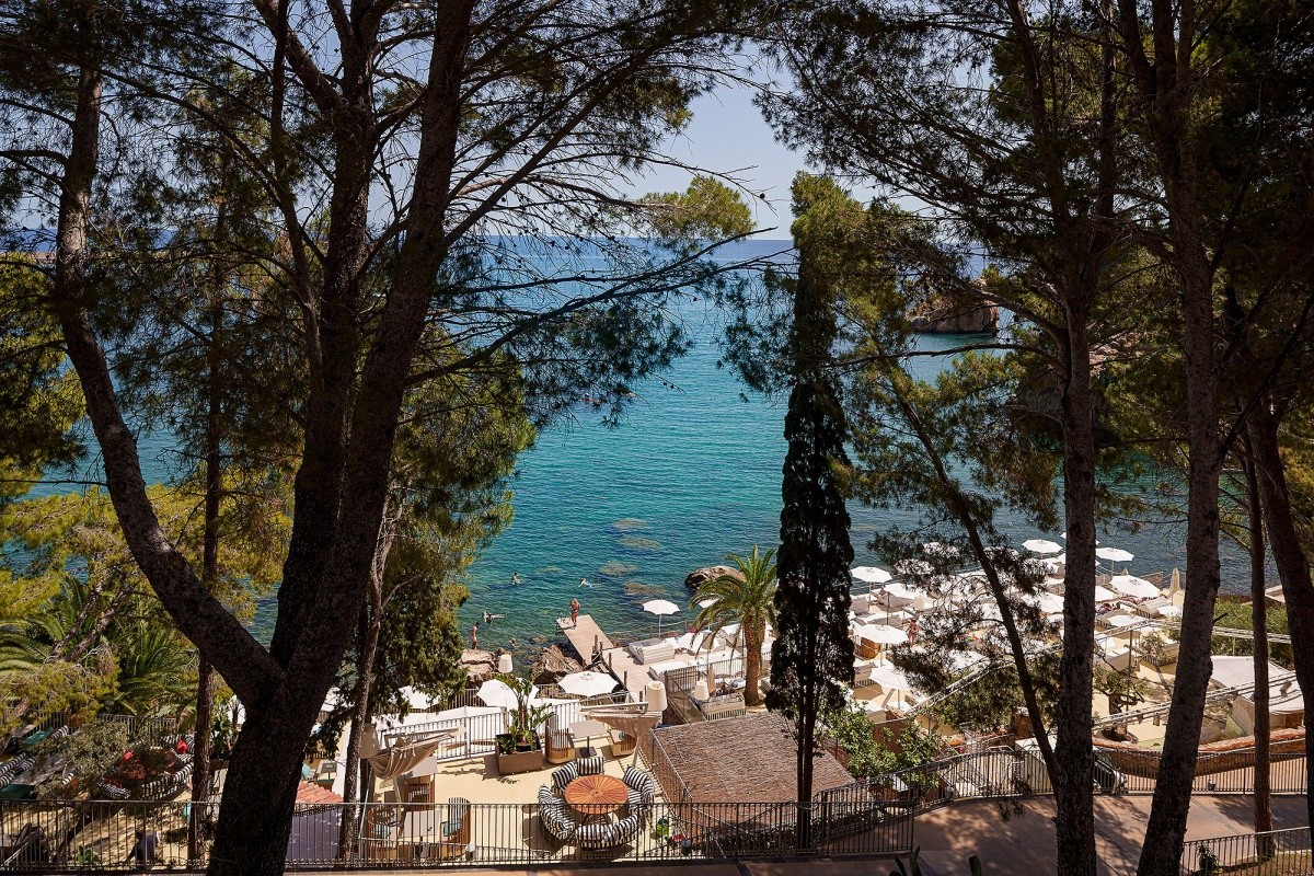 Alberi Del Paradiso