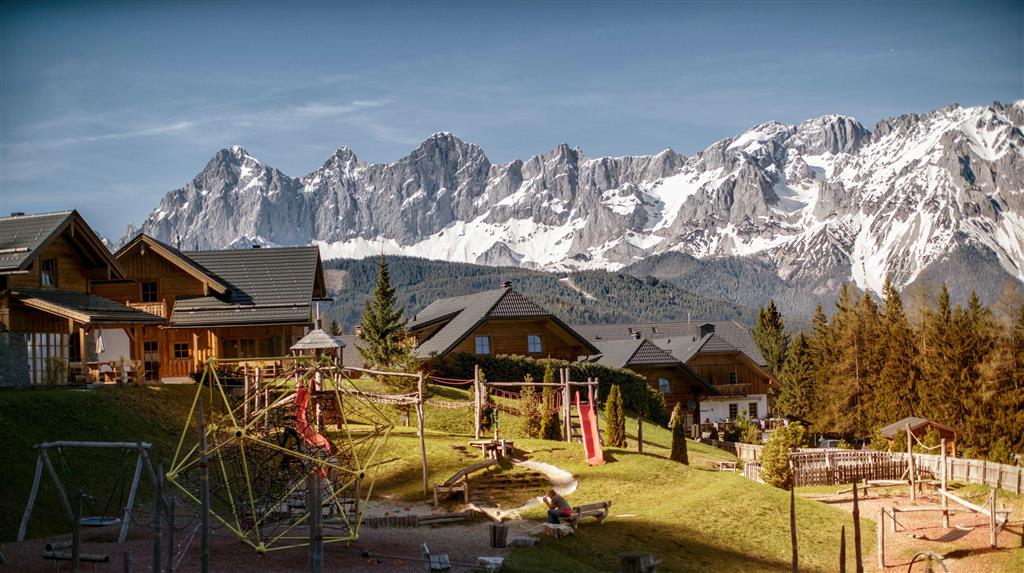 Edelweiss (Reiteralm)