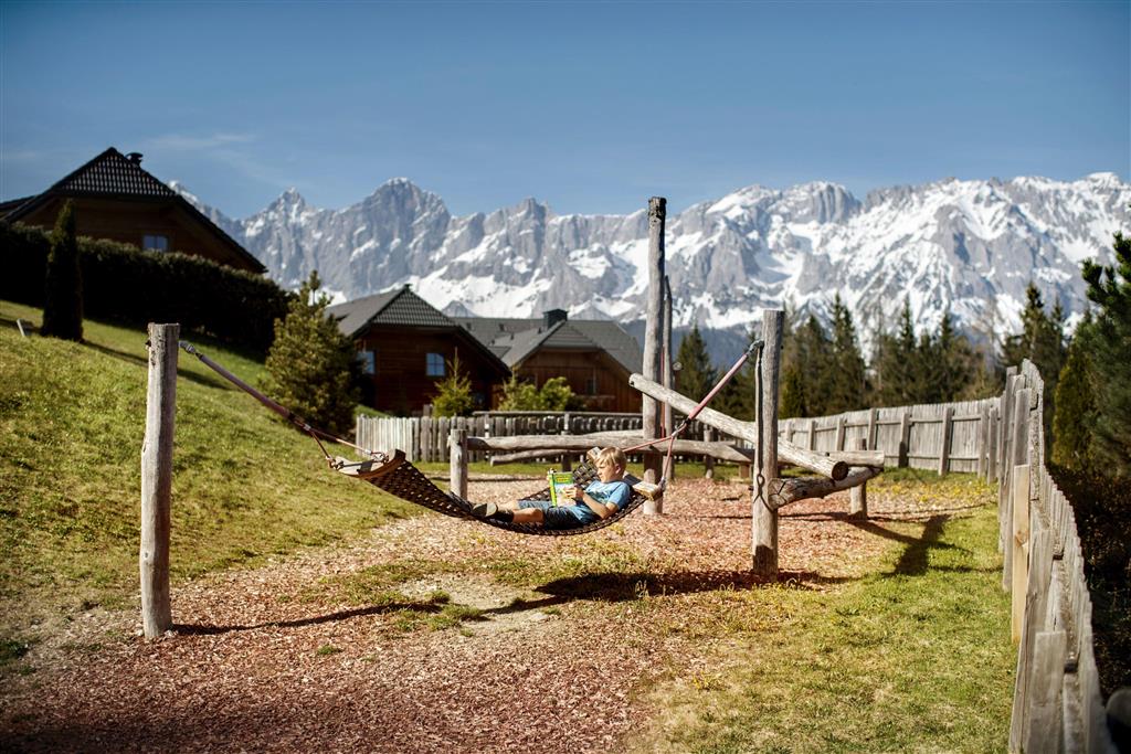 Edelweiss (Reiteralm)