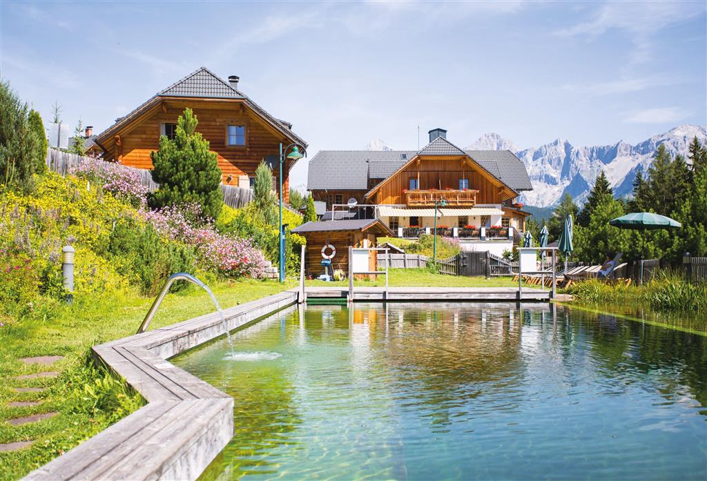 Edelweiss (Reiteralm)