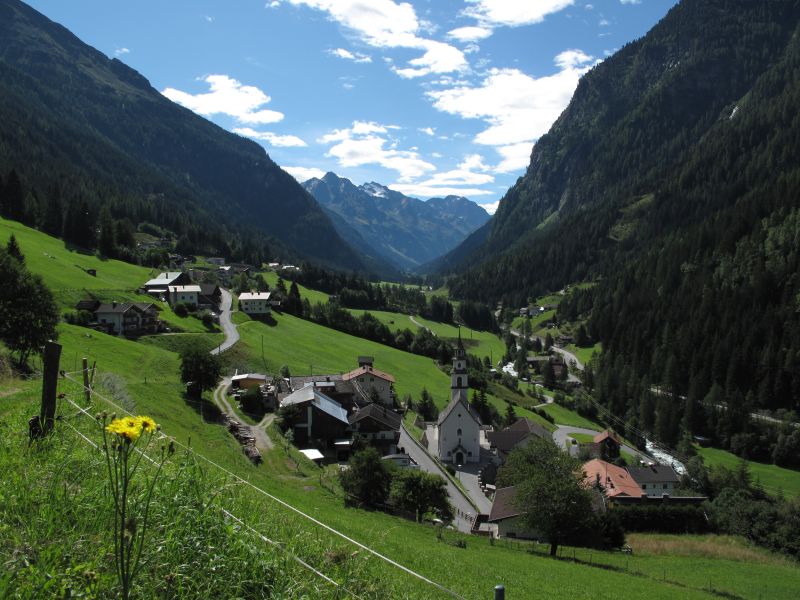 Alpenrose