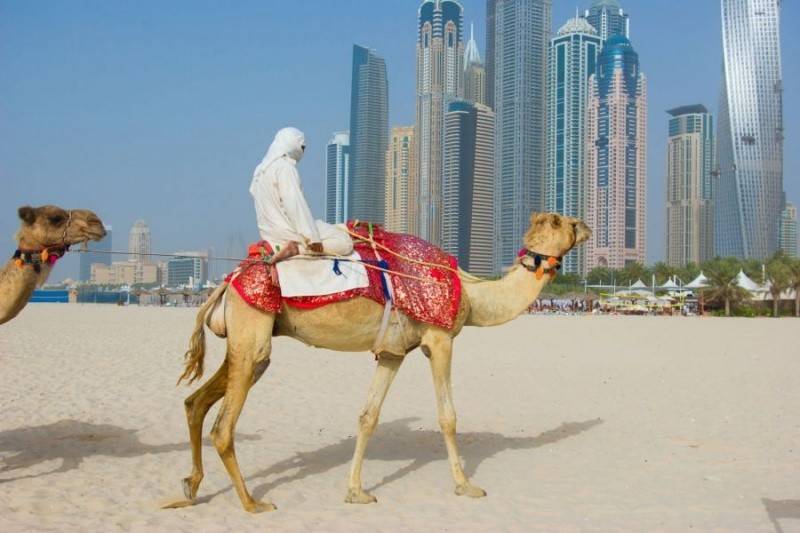 Lavender Deira