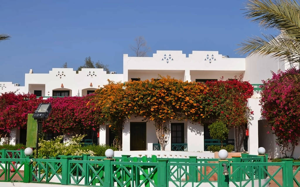 Verginia Sharm