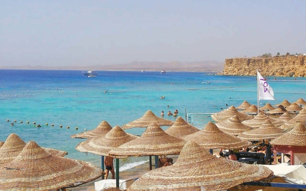 Verginia Sharm