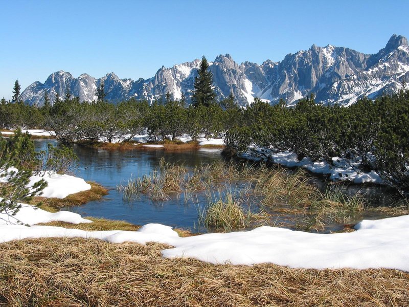 Dolomitenhof