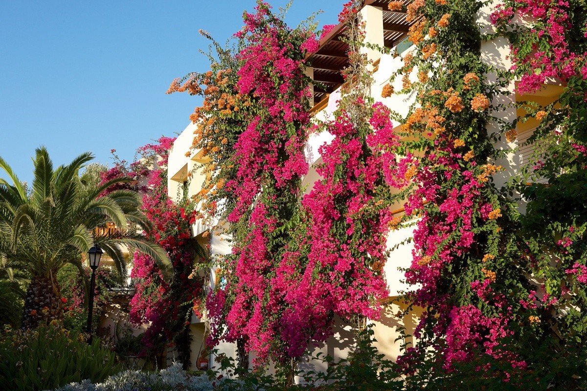 Creta Royal