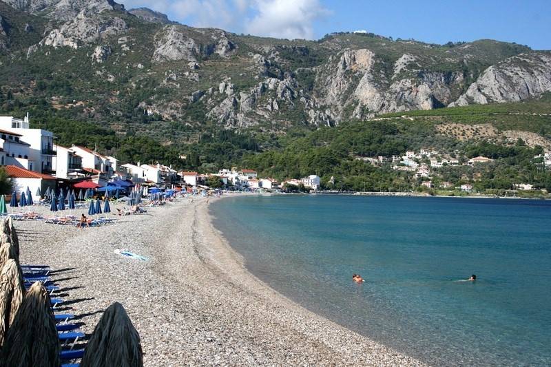 Studia Frini