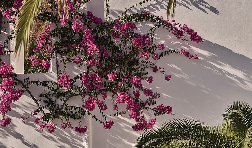 Dionysos Sea Side Resort