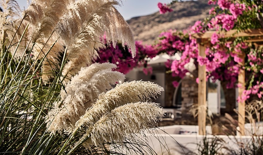 Dionysos Sea Side Resort